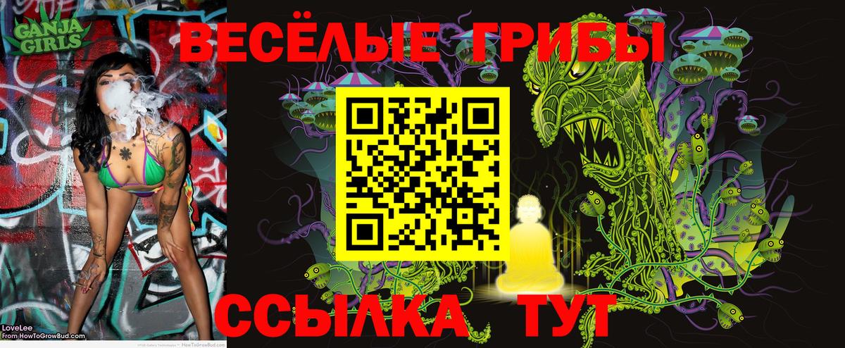 где купить наркотик  Псилоцибиновые грибы мухоморы  Вход с VPN  Псилоцибиновые грибы мицелий  Йошкар-Ола 